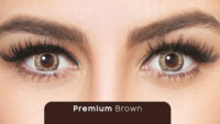 Premium Brown