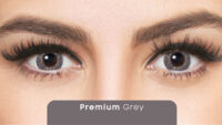 Premium Grey