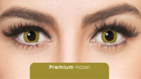 Premium Hazel